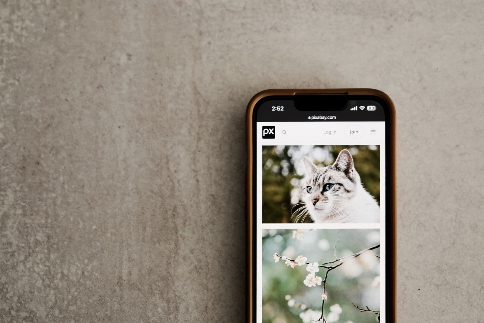 Client approving a branded photo proofing gallery on a phone
