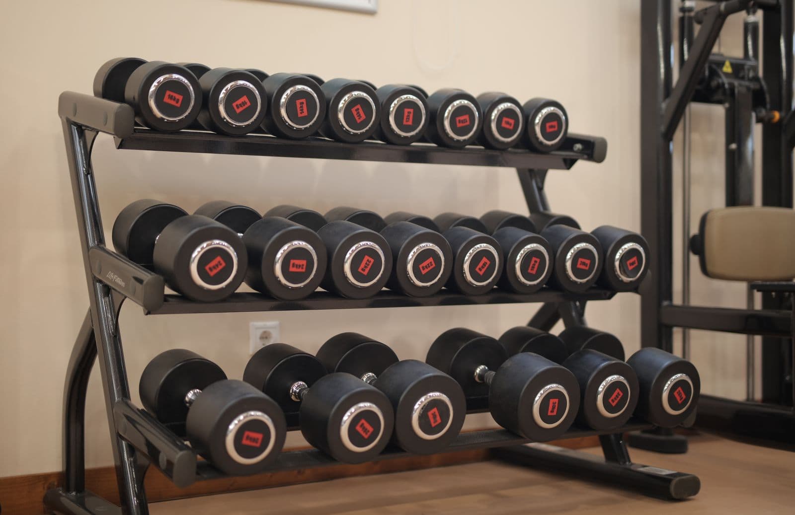 Gym interior with dumbbells and fitness equipment